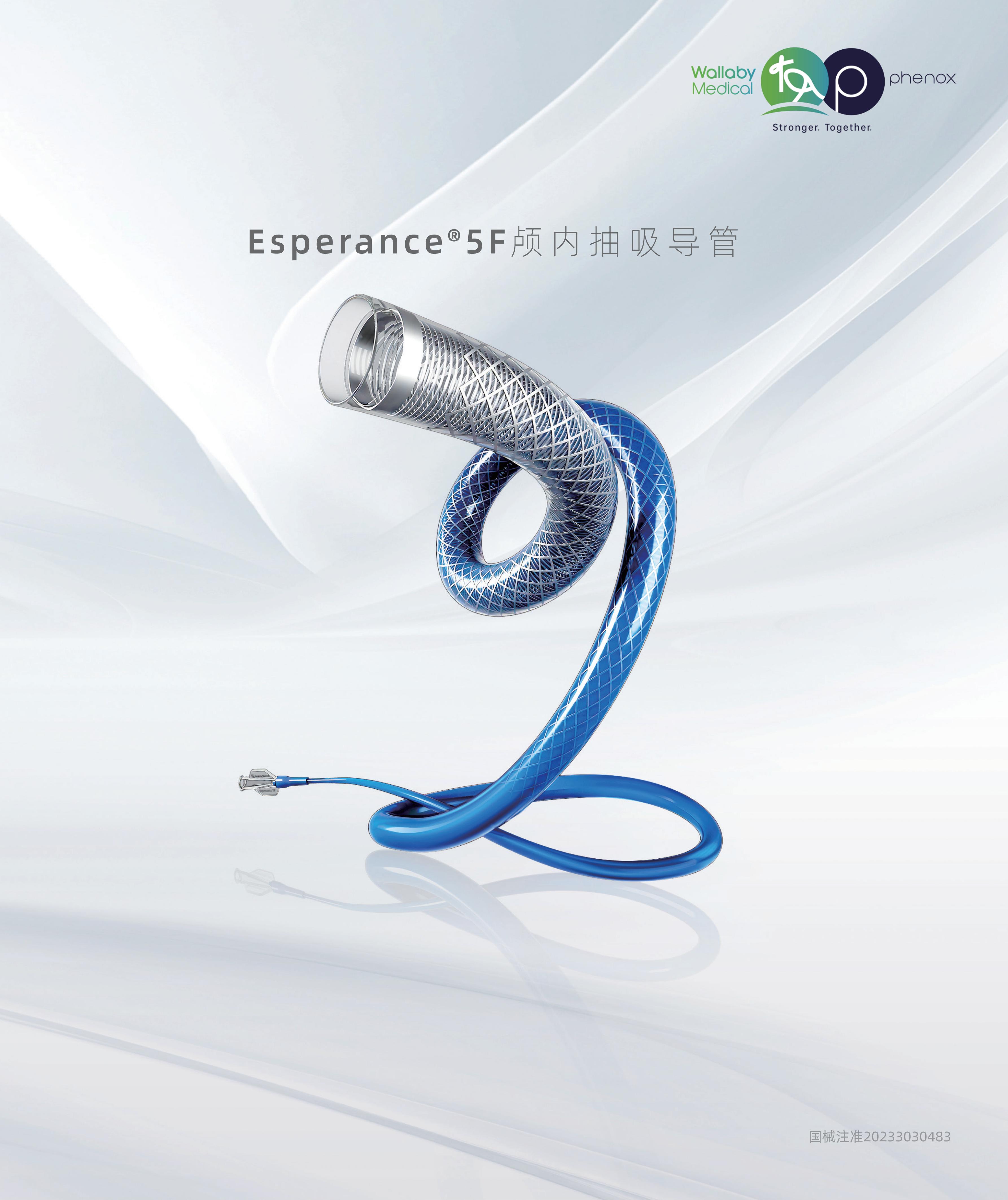 Esperance® 5F颅内抽吸导管