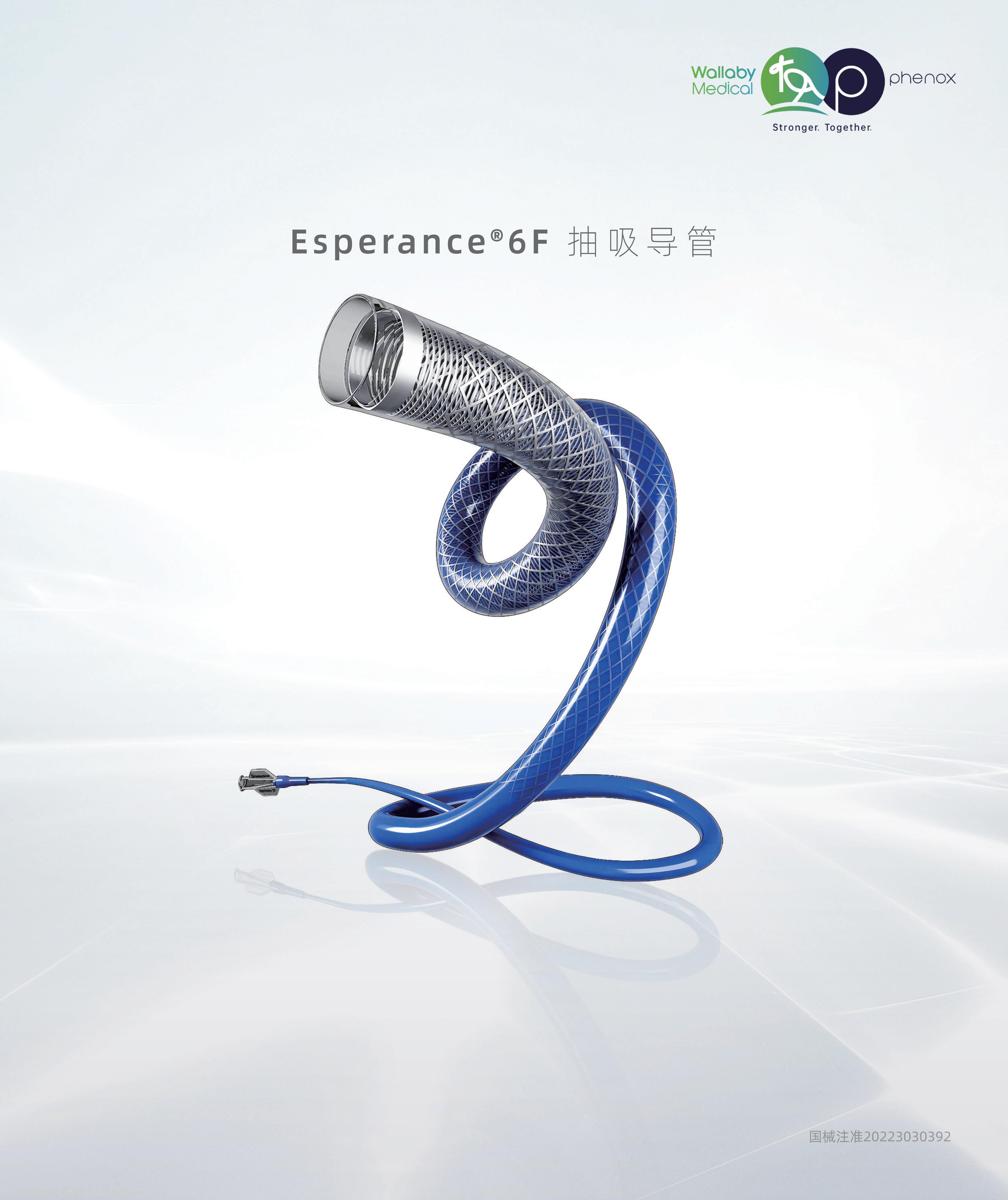 Esperance® 6F颅内抽吸导管