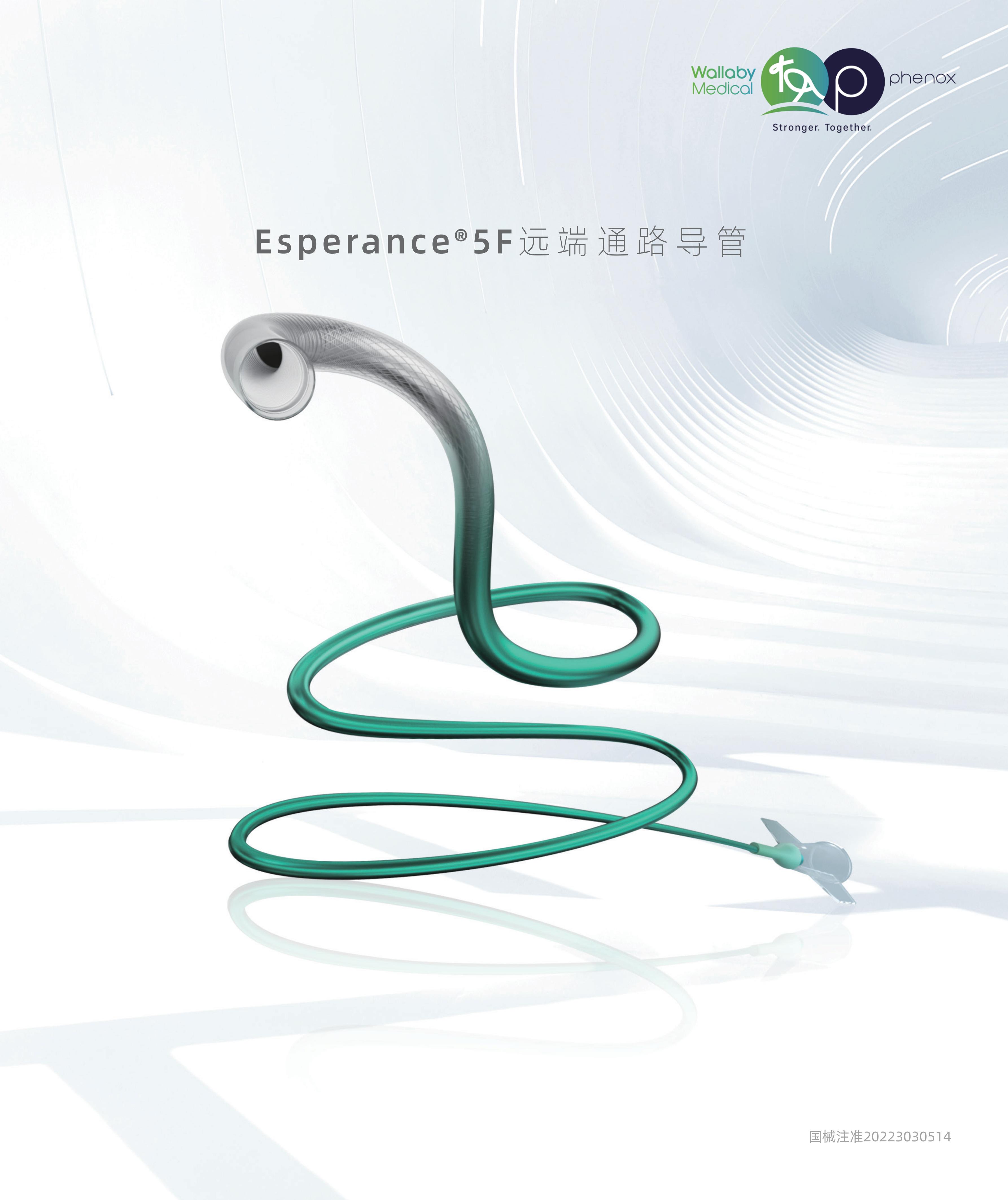 Esperance® 5F远端通路导管